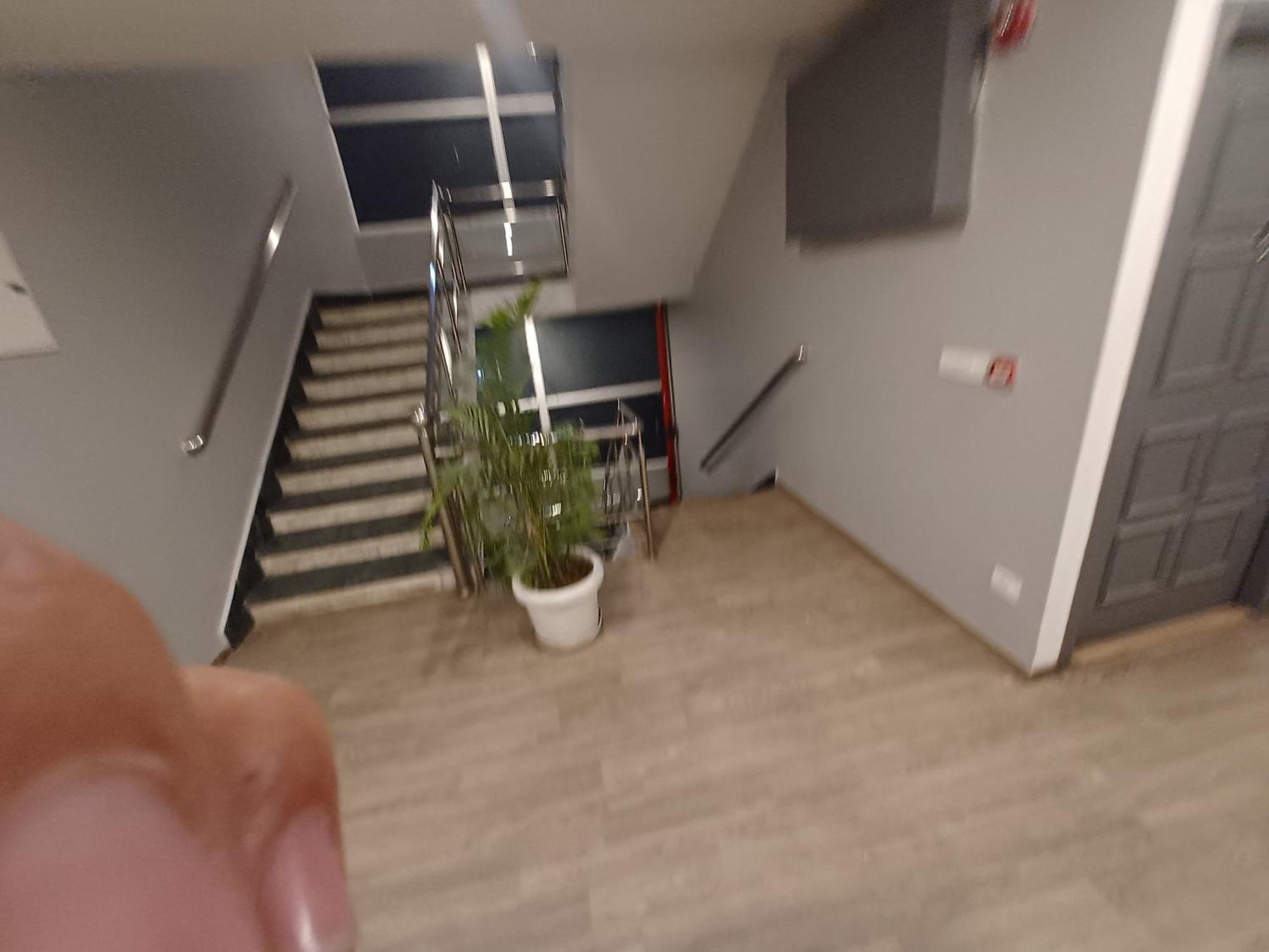 ג'איפור Hotel Chetram Elite Near Railway Station מראה חיצוני תמונה
